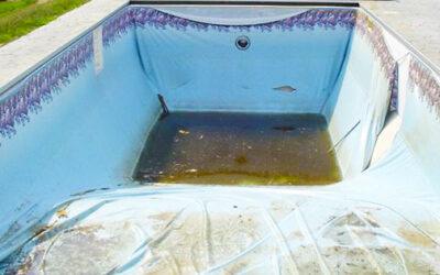 Why You Should Never Drain Your Vinyl Liner Pool